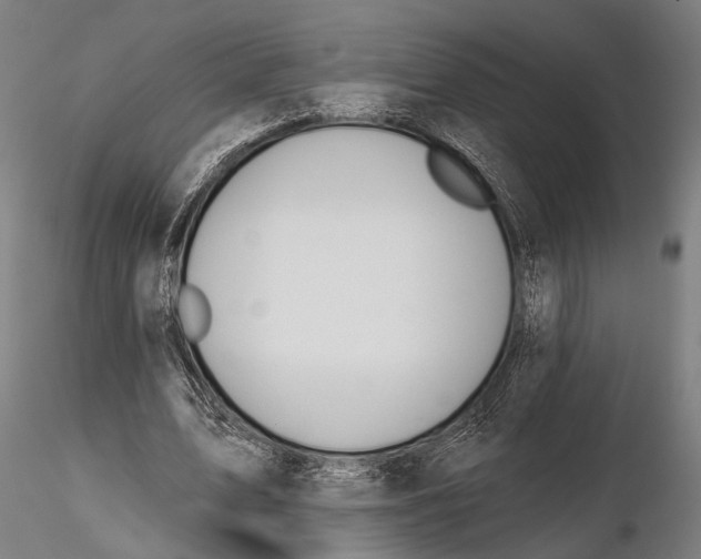 X0000115490583200912041017