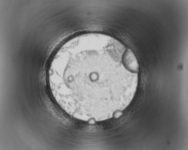 X0000115490584200912041017