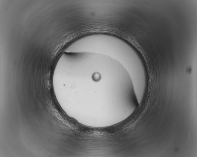 X0000115490585200912041017