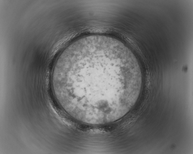 X0000115490586200912041017