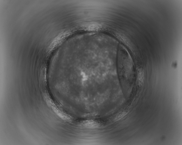 X0000115490589200912041017