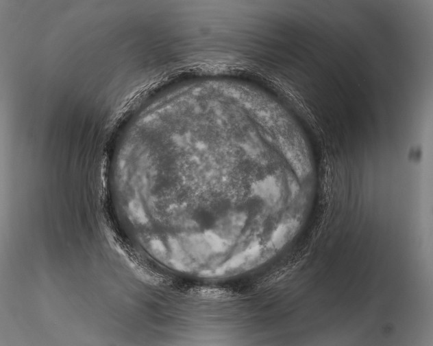 X0000115490590200912041017