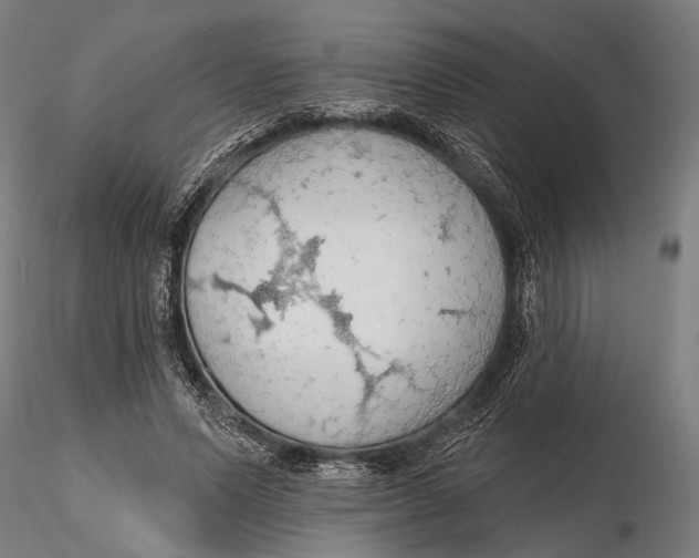 X0000115490591200912041017