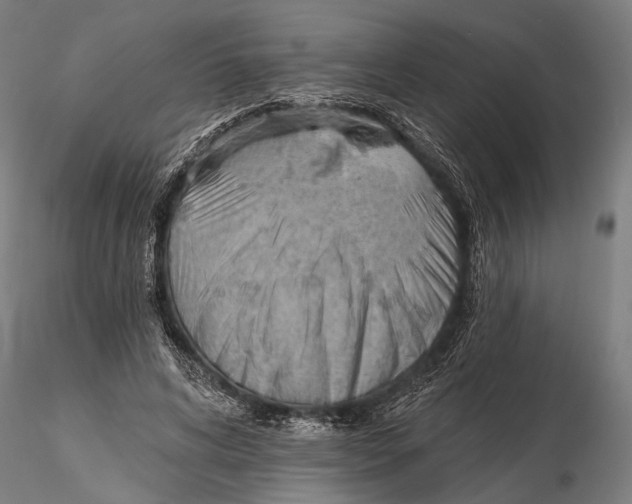 X0000115490592200912041017