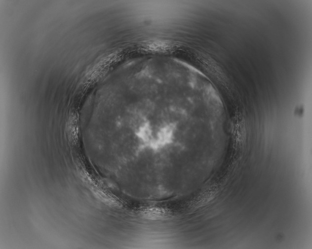 X0000115490593200912041017