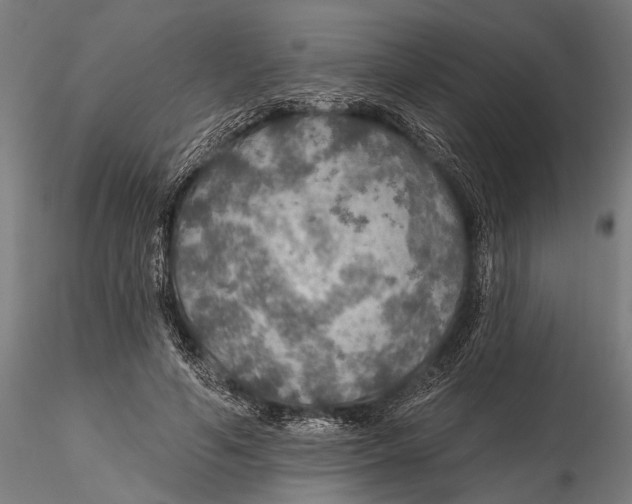 X0000115490594200912041017