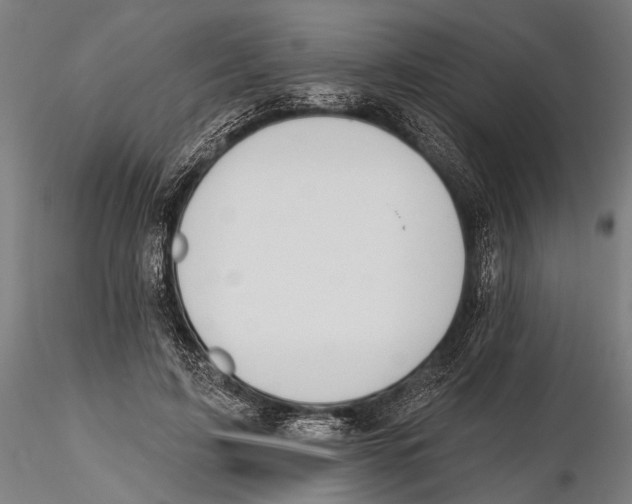 X0000115490595200912041017