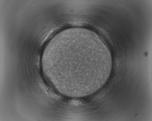 X0000115490596200912041017