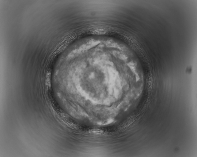 X0000115490598200912041017