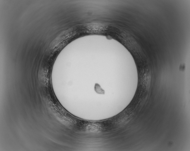 X0000115490599200912041017