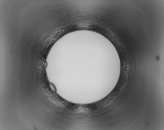 X0000115490601200912041017