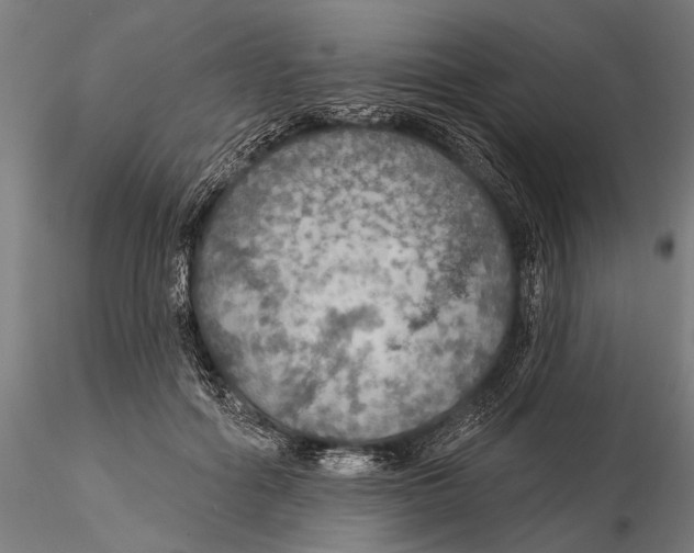 X0000115490602200912041017