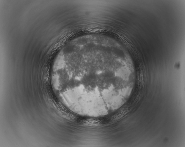 X0000115490606200912041017