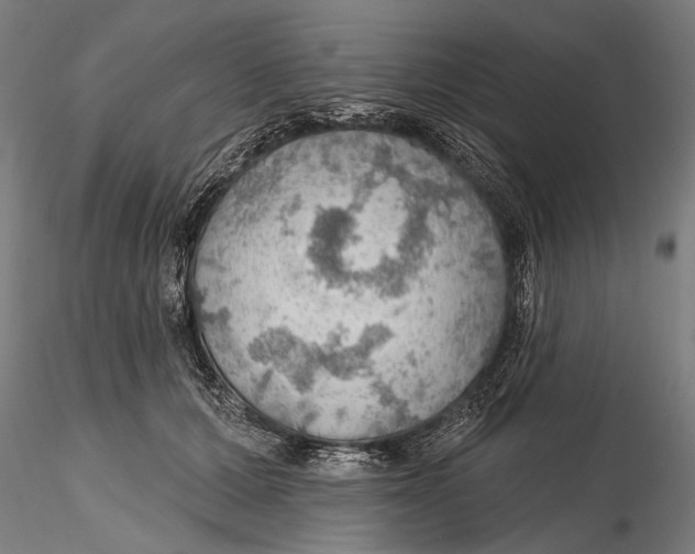 X0000115490607200912041017