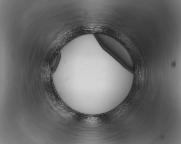 X0000115490609200912041017