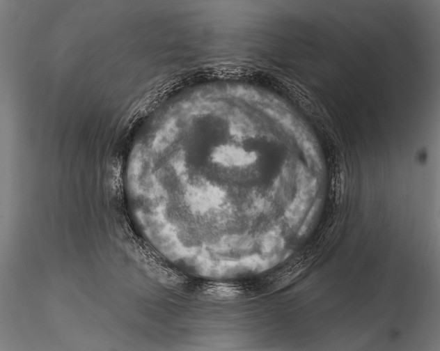 X0000115490610200912041017