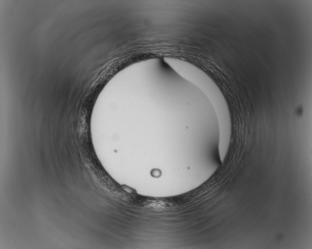 X0000115490611200912041017