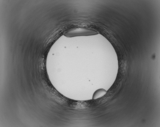 X0000115490612200912041017