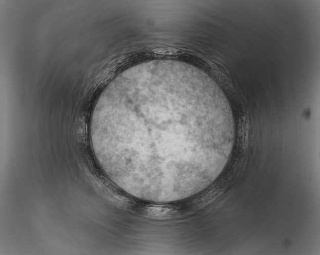 X0000115490614200912041017