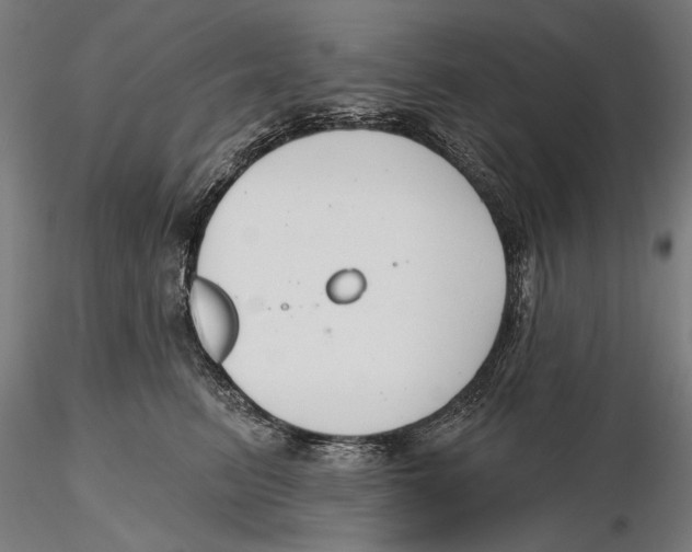 X0000115490615200912041017