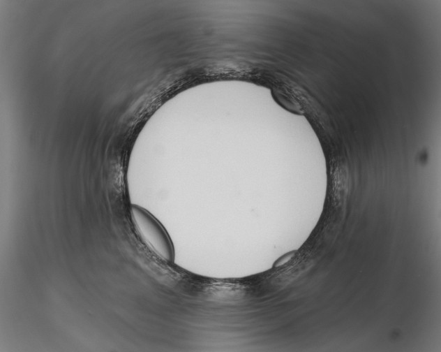 X0000115490617200912041017