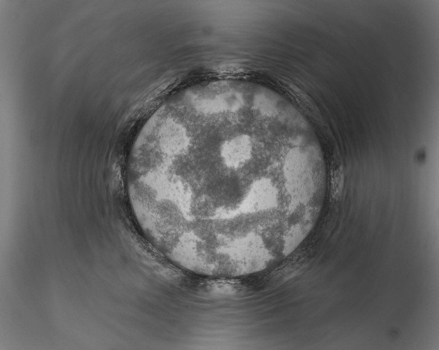 X0000115490618200912041017