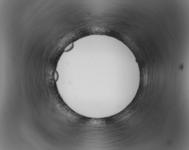 X0000115490619200912041017