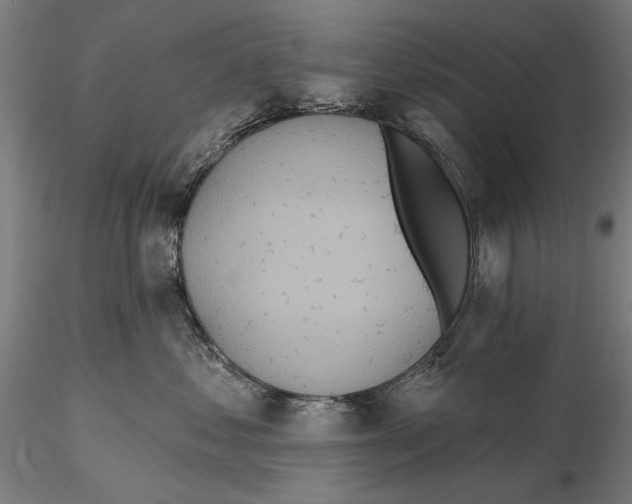 X0000115490621200912041017