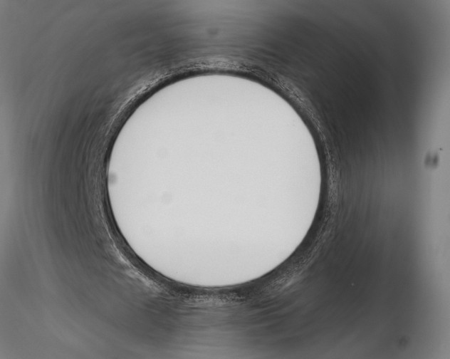 X0000115490625200912041016