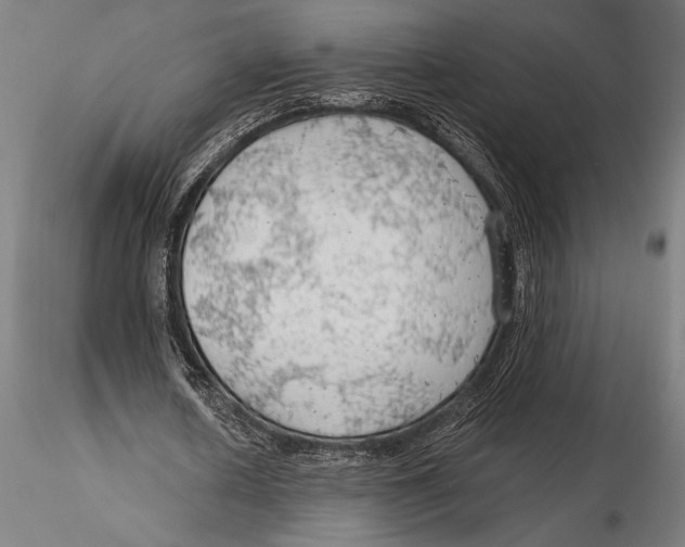 X0000115490626200912041016