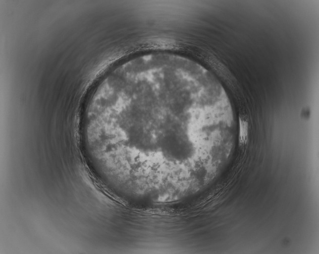 X0000115490627200912041016
