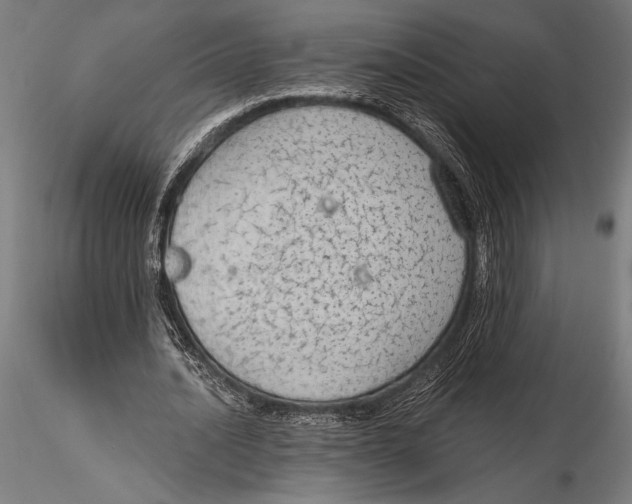 X0000115490628200912041016