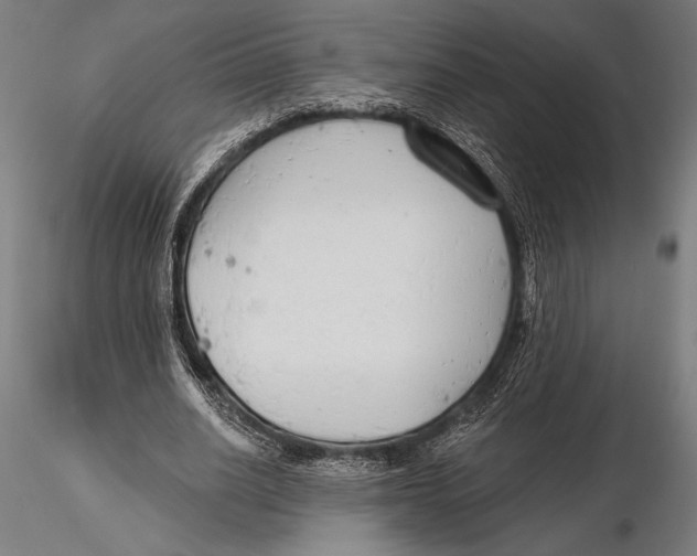 X0000115490630200912041016