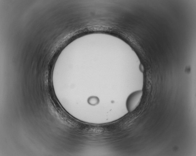 X0000115490631200912041016