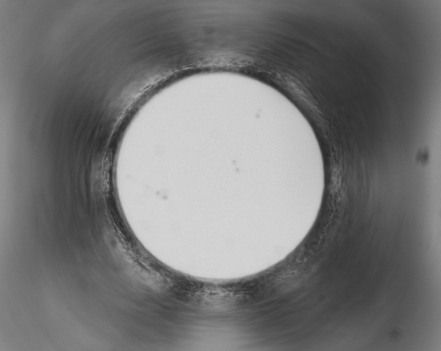 X0000115490632200912041016