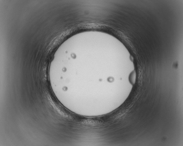 X0000115490633200912041016