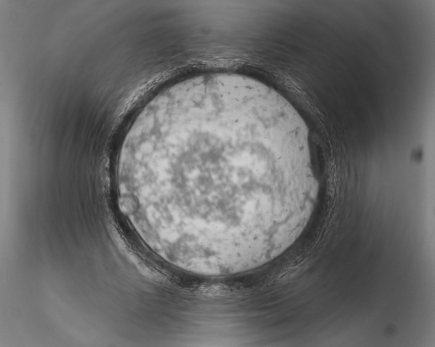 X0000115490634200912041016