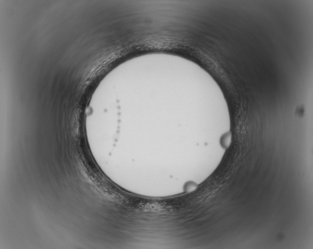 X0000115490635200912041016