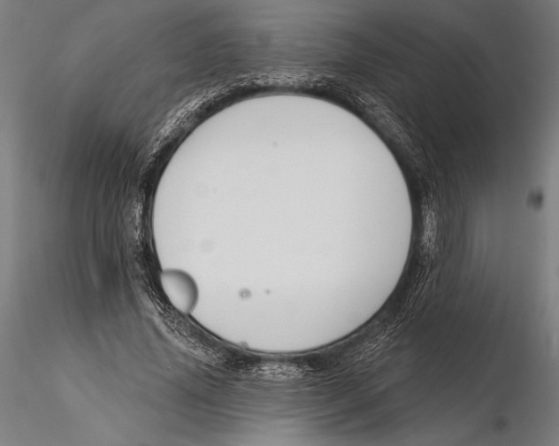 X0000115490636200912041016