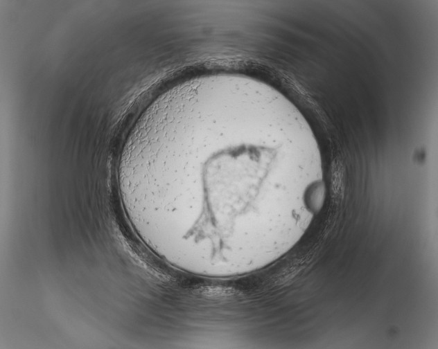 X0000115490637200912041016