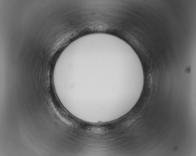 X0000115490638200912041016