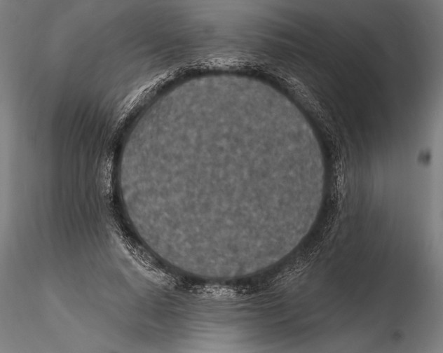 X0000115490640200912041016