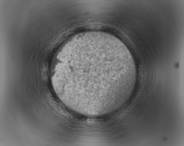 X0000115490641200912041016