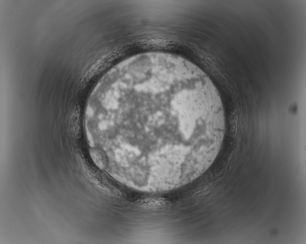 X0000115490642200912041016