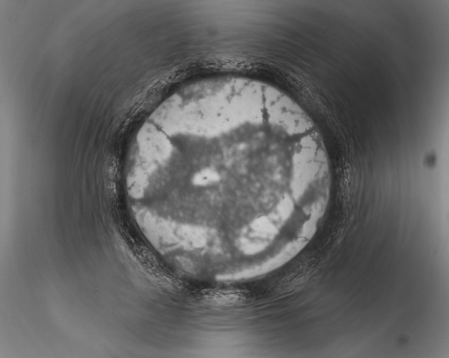 X0000115490643200912041017