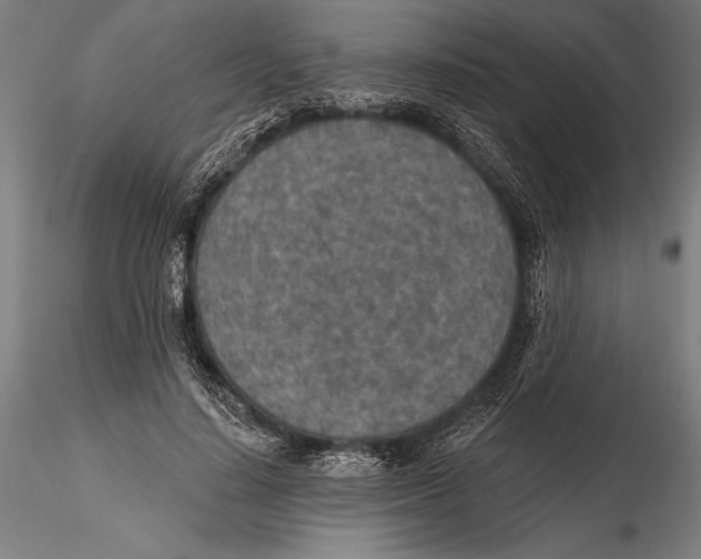 X0000115490644200912041017