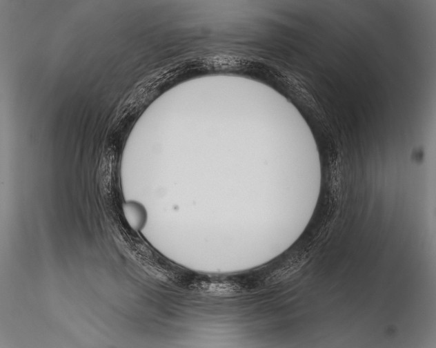 X0000115490645200912041017