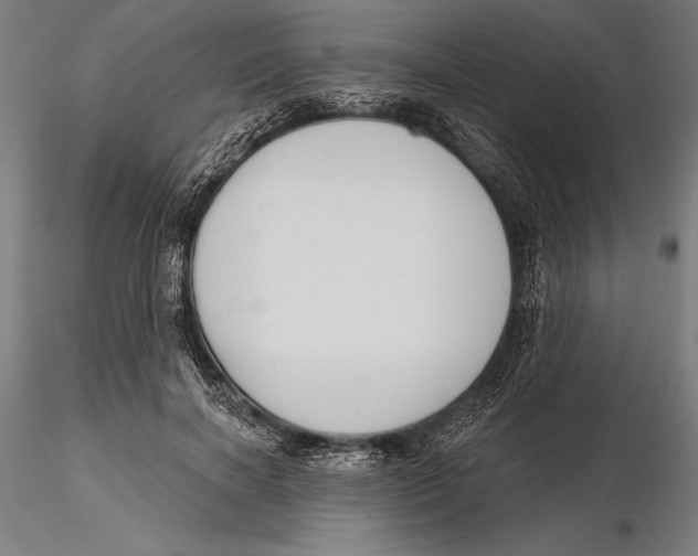 X0000115490646200912041017