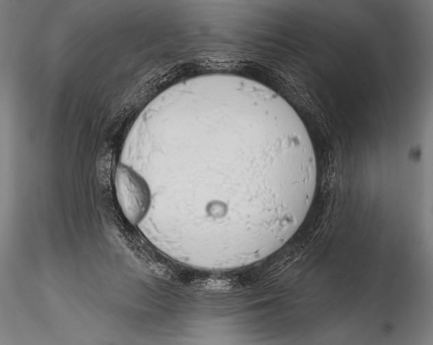X0000115490647200912041017