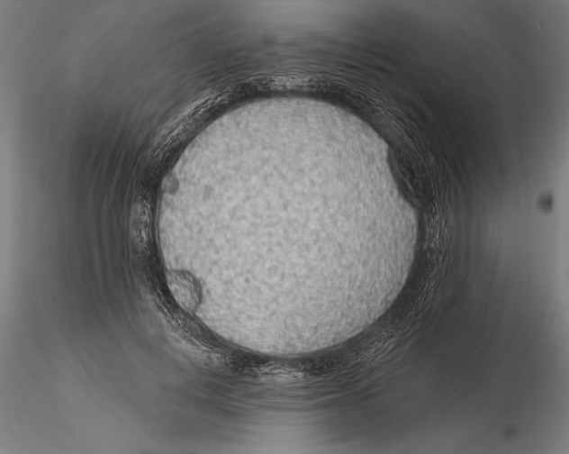 X0000115490648200912041017